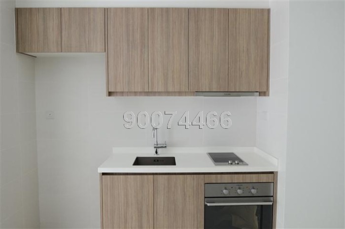 Optima @ Tanah Merah (D16), Condominium #33892